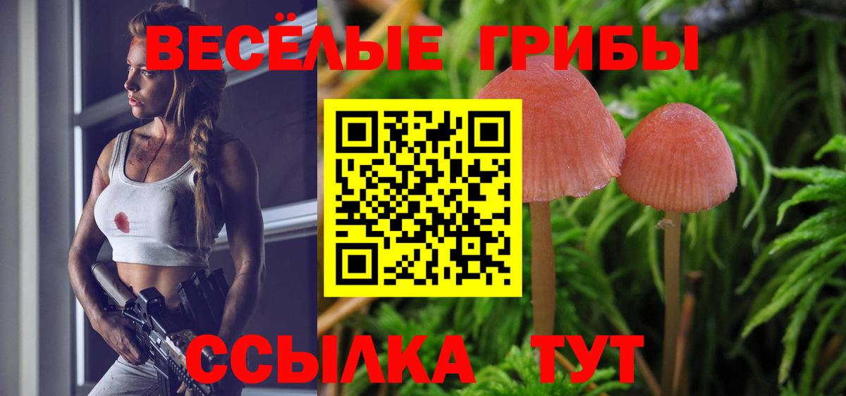 Галлюциногенные грибы Cubensis Якутск