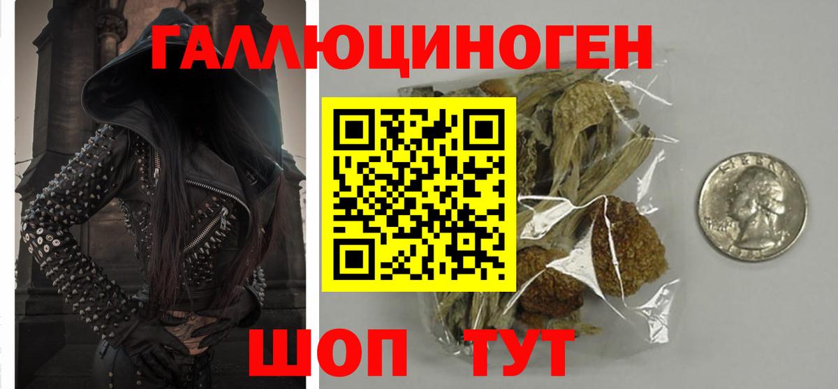 Якутск  Псилоцибиновые грибы Cubensis  цены наркотик  Вход с VPN  Псилоцибиновые грибы Psilocybe 