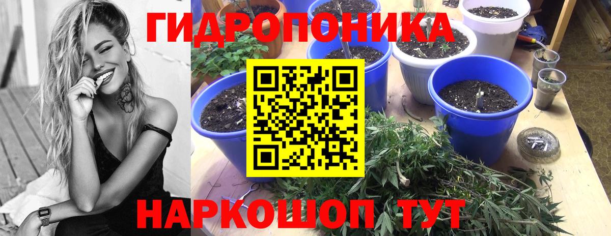 Бошки марихуана AK-47 Якутск